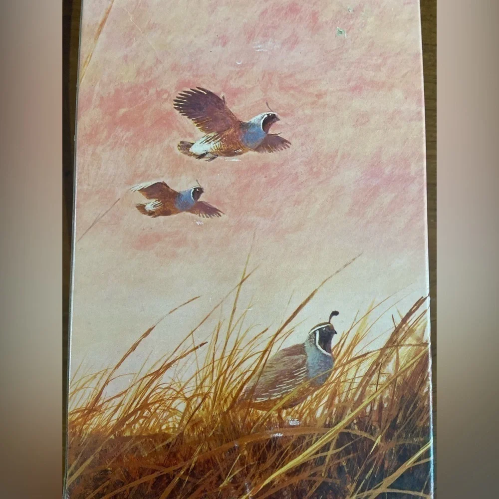 Vintage AVON Quail Decanter Wild Country Men Aftershave Original Box Full 1970s